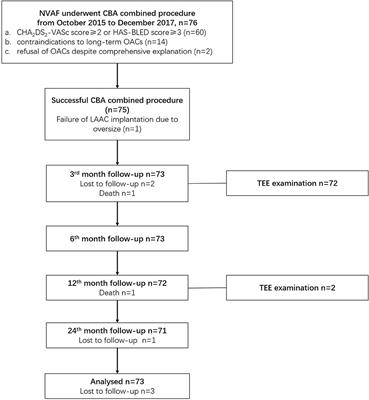 Two-Year Outcome From Combining Cryoballoon Ablation and Left Atrial Appendage Closure: CLACBAC Study